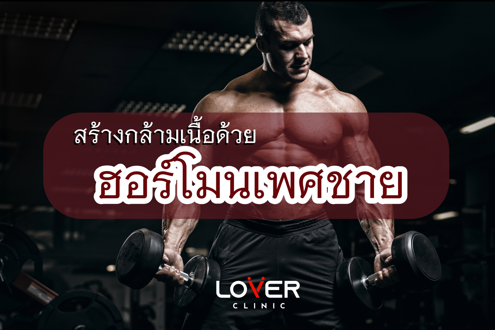 ฮอร์โมนเพศชายกับการสร้างกล้ามเนื้อ วิธีเพิ่มมวลกล้ามเนื้ออย่างมีประสิทธิภาพ